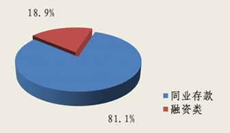 北京市分行投资管理策略与实践