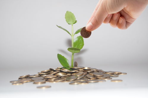 诚为信征信解读 本次央行降准1%与以往有何不同？及对投资管理的启示